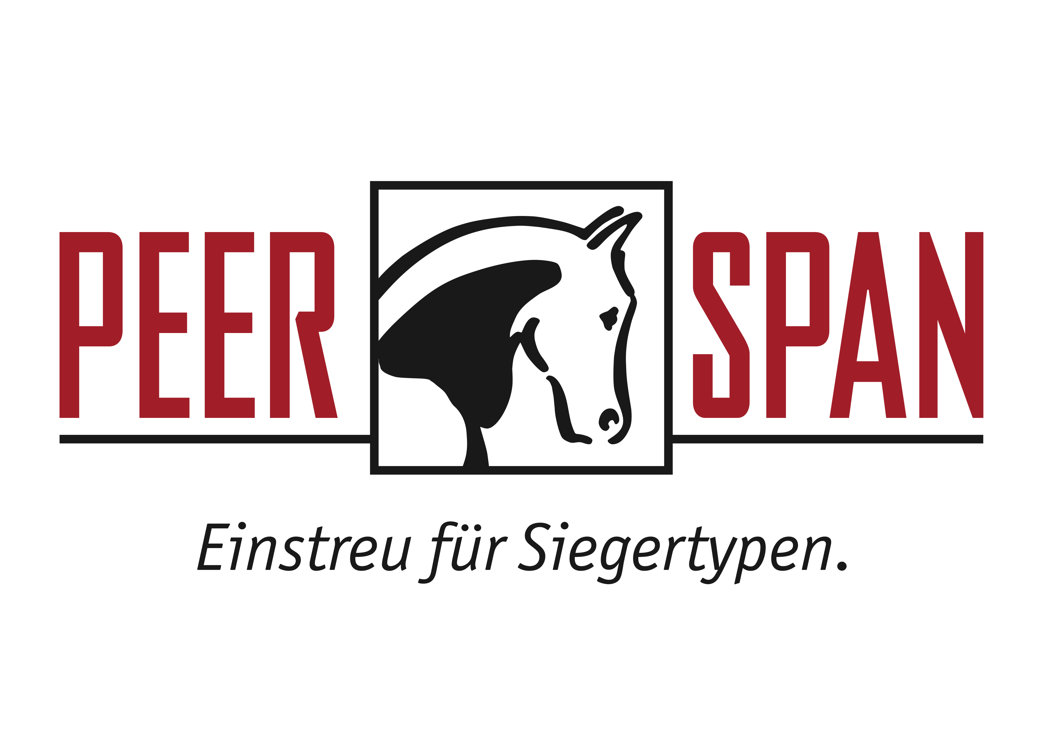 Peer-Span GmbH